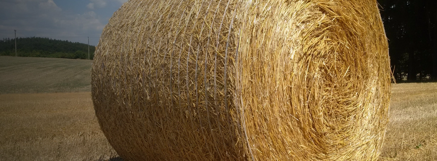 Ballen Heu auf dem Feld