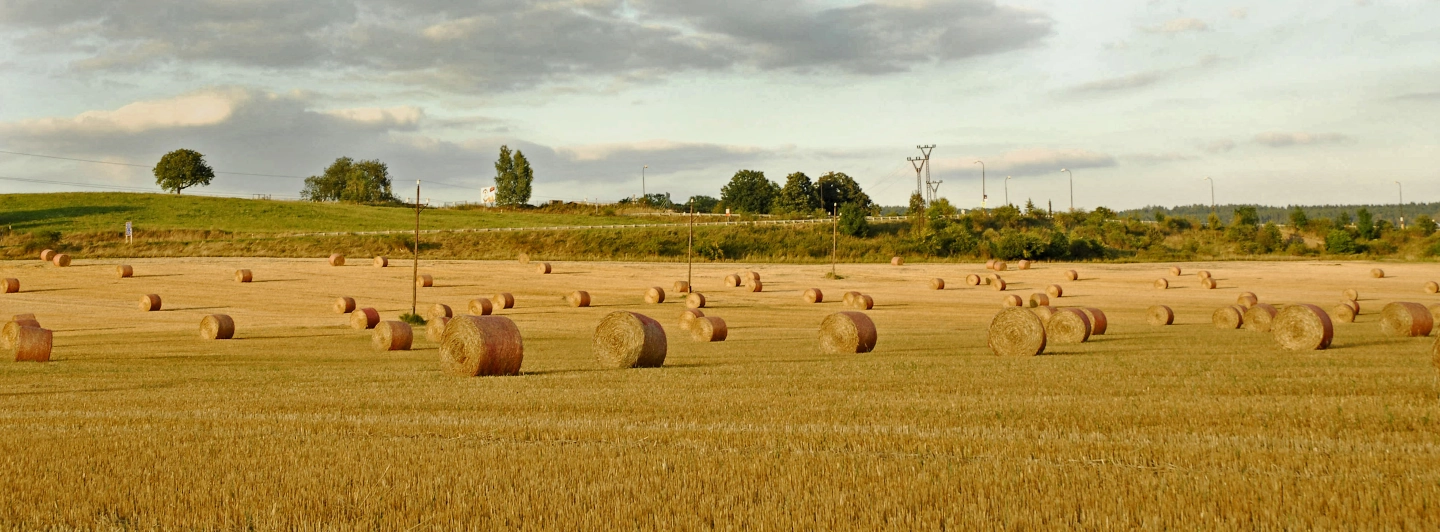 Ballen Heu auf dem Feld